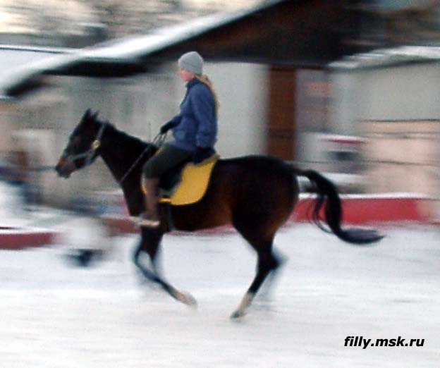 galop5.jpg