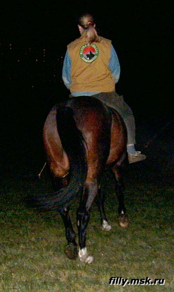PIC_0056.jpg