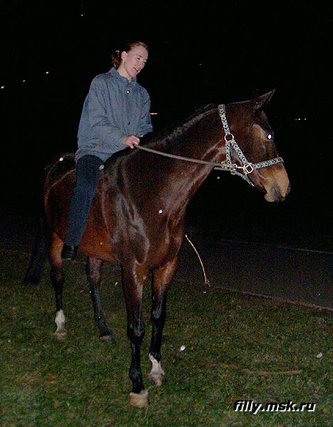 PIC_0065.jpg